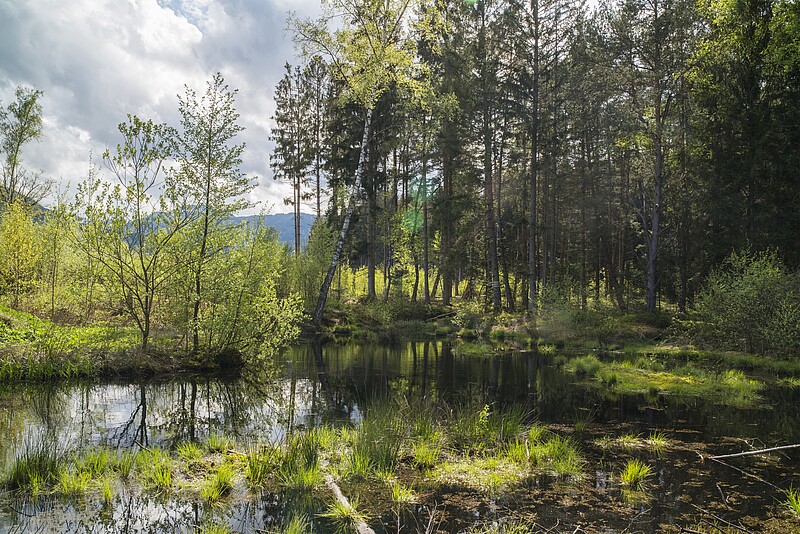 csm_Moorerlebnis-Sterntaler-Filze-brigitte-stadler_64ddae310b