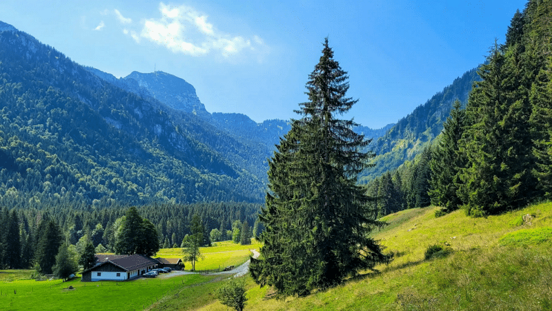 csm_Wirtsalm_a21f5a0346